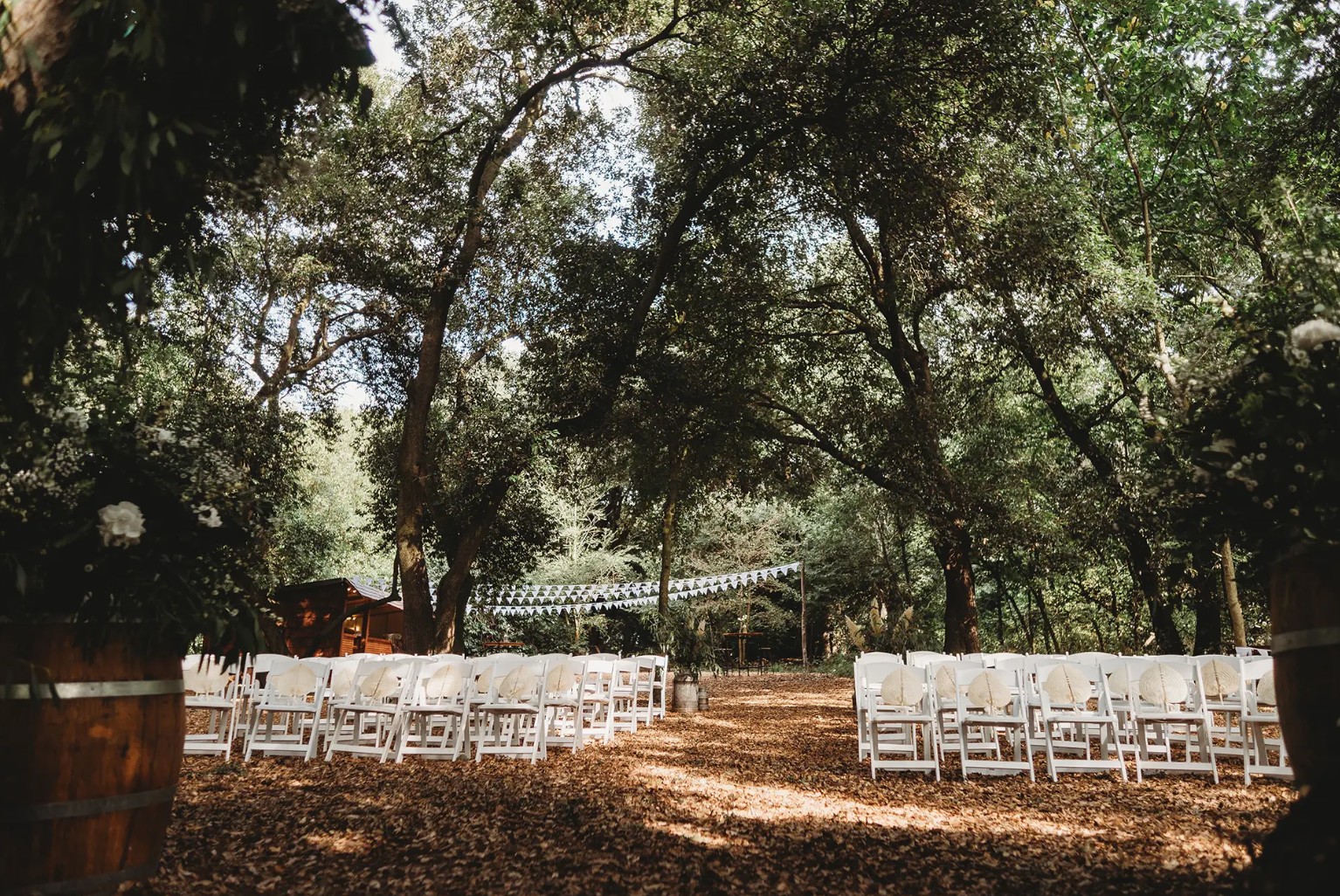 Braxted Park wedding supplier image